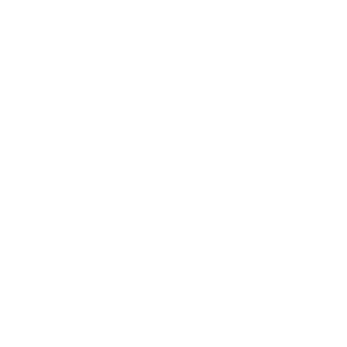 Machion Vision Inspection System